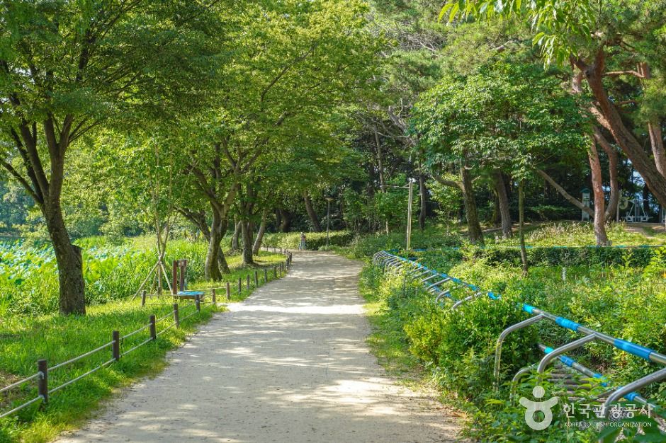 강주연못 여행 추천 - 메고지고 강주연못 여행 추천 - 메고지고