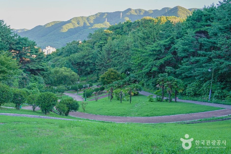 반룡산공원 여행 추천 - 메고지고
