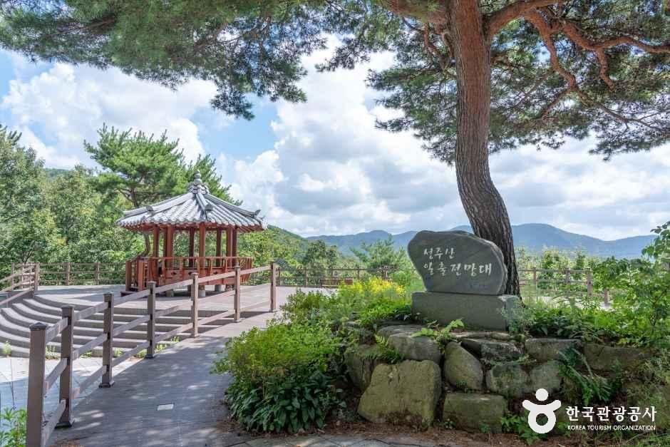 성주산일출전망대 여행 추천 - 메고지고 성주산일출전망대 여행 추천 - 메고지고