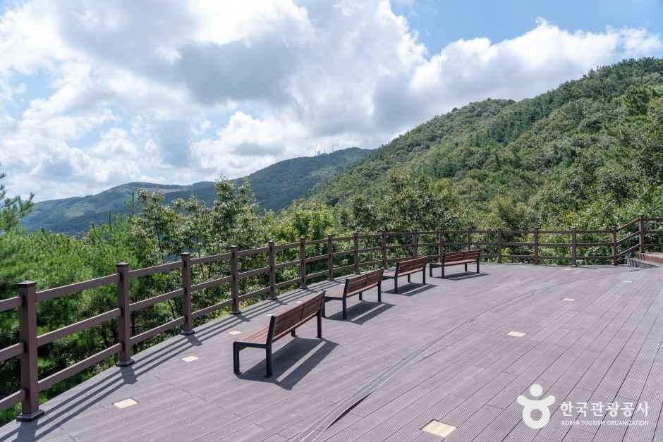 성주산일출전망대 여행 추천 - 메고지고 성주산일출전망대 여행 추천 - 메고지고