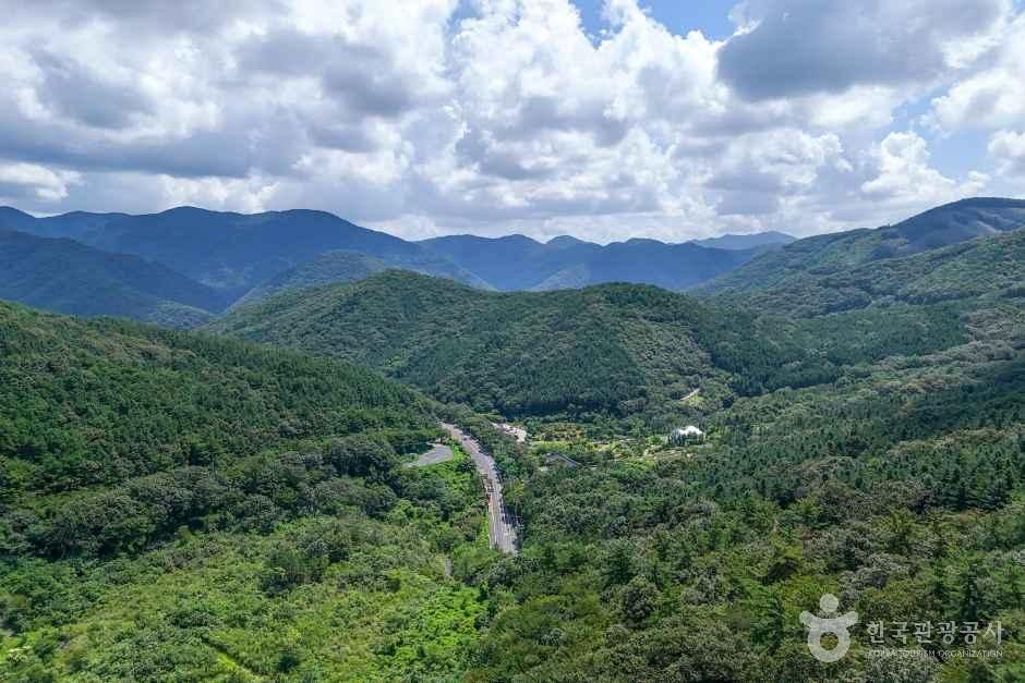 성주산일출전망대 여행 추천 - 메고지고 성주산일출전망대 여행 추천 - 메고지고