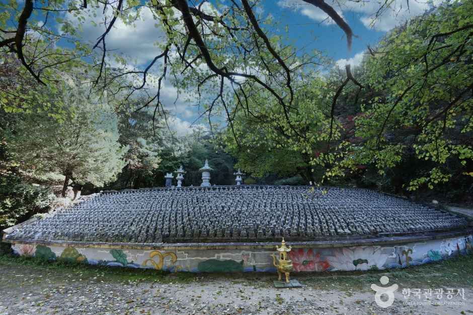 봉인사 여행 추천 - 메고지고 봉인사 여행 추천 - 메고지고