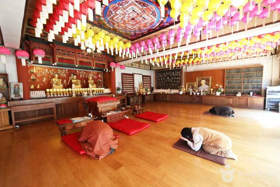 봉인사 여행 추천 - 메고지고 봉인사 여행 추천 - 메고지고