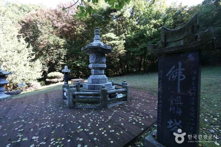 봉인사 여행 추천 - 메고지고 봉인사 여행 추천 - 메고지고