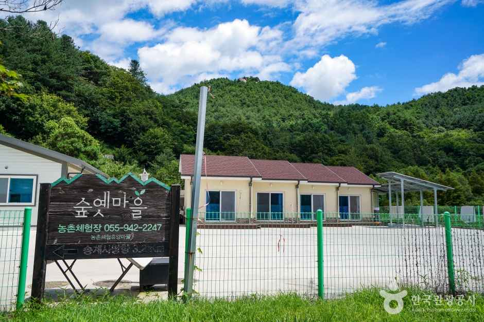 숲옛마을(갈계) 여행 추천 - 메고지고 숲옛마을(갈계) 여행 추천 - 메고지고