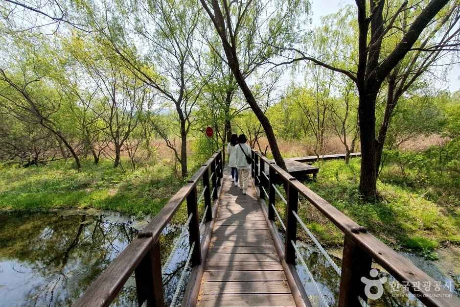 수풀로 운심리 여행 추천 - 메고지고 수풀로 운심리 여행 추천 - 메고지고