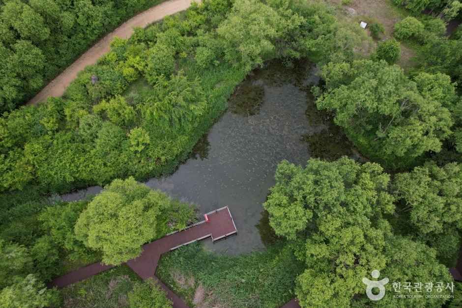 수풀로 운심리 여행 추천 - 메고지고 수풀로 운심리 여행 추천 - 메고지고