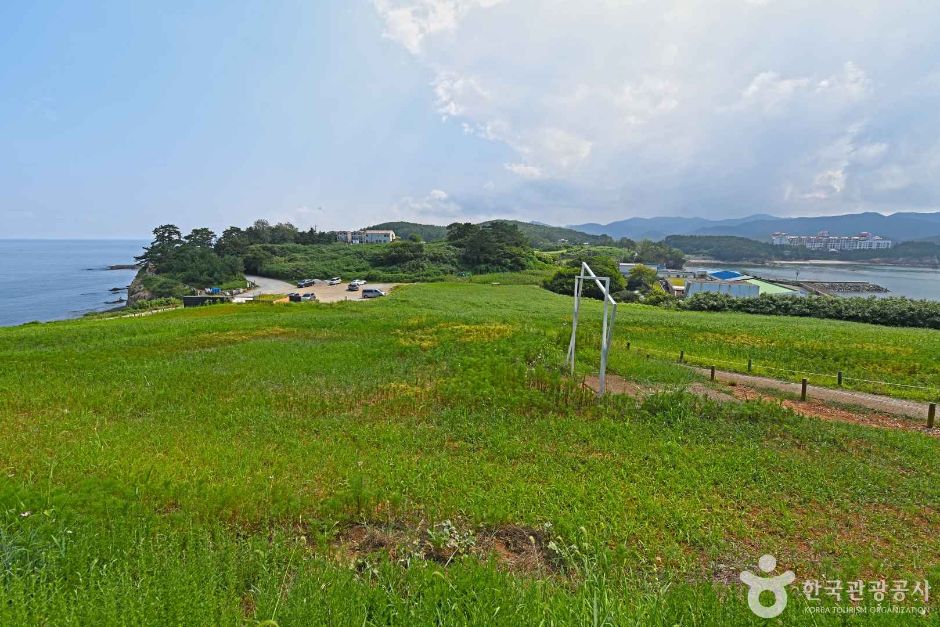 수성당 유채꽃 여행 추천 - 메고지고 수성당 유채꽃 여행 추천 - 메고지고