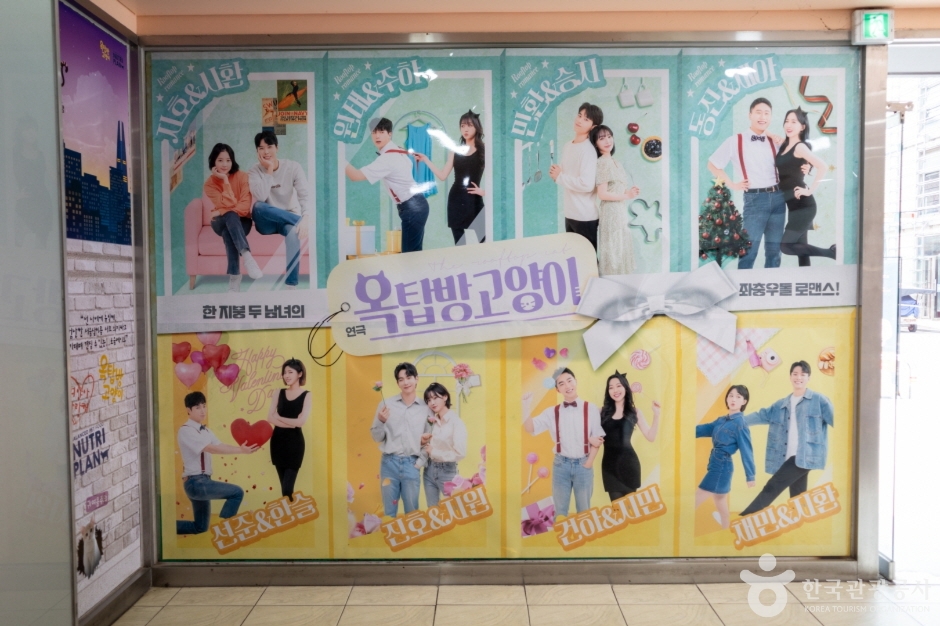 틴틴홀 여행 추천 - 메고지고 틴틴홀 여행 추천 - 메고지고