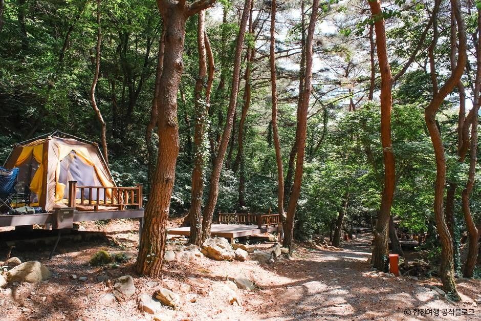 오도산자연휴양림 여행 추천 - 메고지고 오도산자연휴양림 여행 추천 - 메고지고