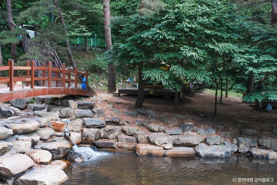 오도산자연휴양림 여행 추천 - 메고지고 오도산자연휴양림 여행 추천 - 메고지고