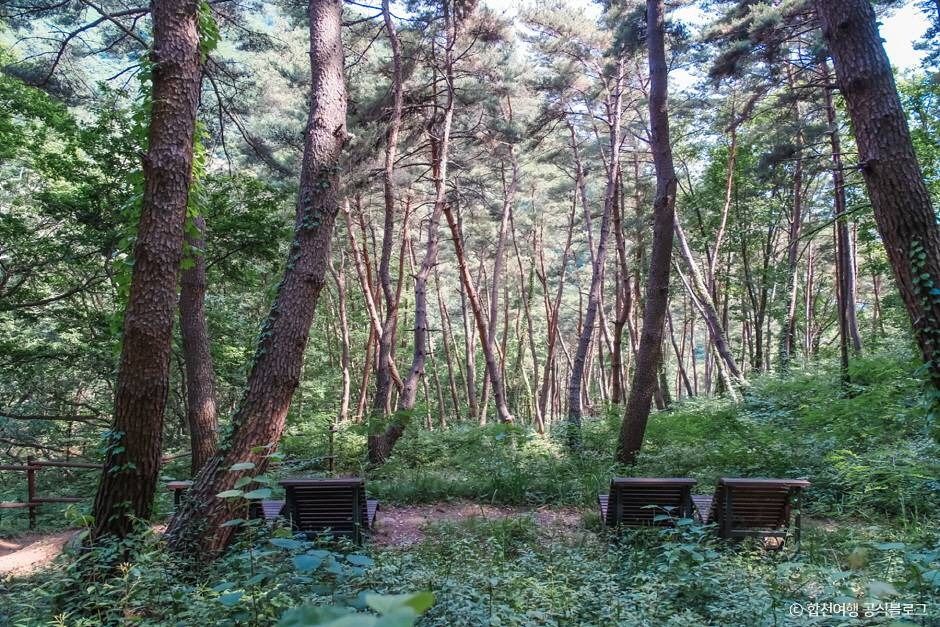오도산자연휴양림 여행 추천 - 메고지고 오도산자연휴양림 여행 추천 - 메고지고