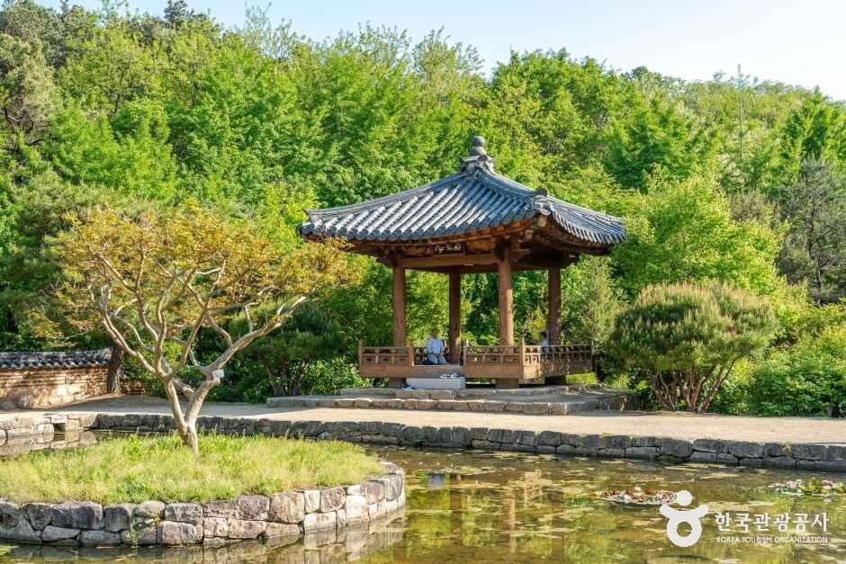 대구수목원 여행 추천 - 메고지고 대구수목원 여행 추천 - 메고지고