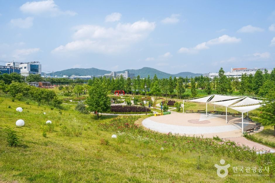 대구 세천늪테마정원 여행 추천 - 메고지고 대구 세천늪테마정원 여행 추천 - 메고지고