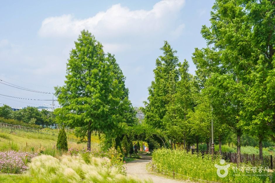 대구 세천늪테마정원 여행 추천 - 메고지고 대구 세천늪테마정원 여행 추천 - 메고지고