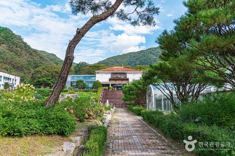 대아수목원 여행 추천 - 메고지고