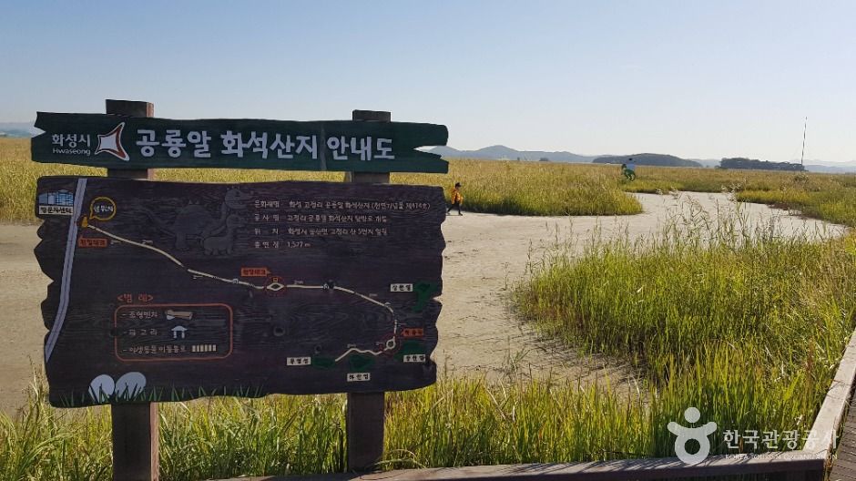 화성 고정리 공룡알 화석산지 여행 추천 - 메고지고 화성 고정리 공룡알 화석산지 여행 추천 - 메고지고
