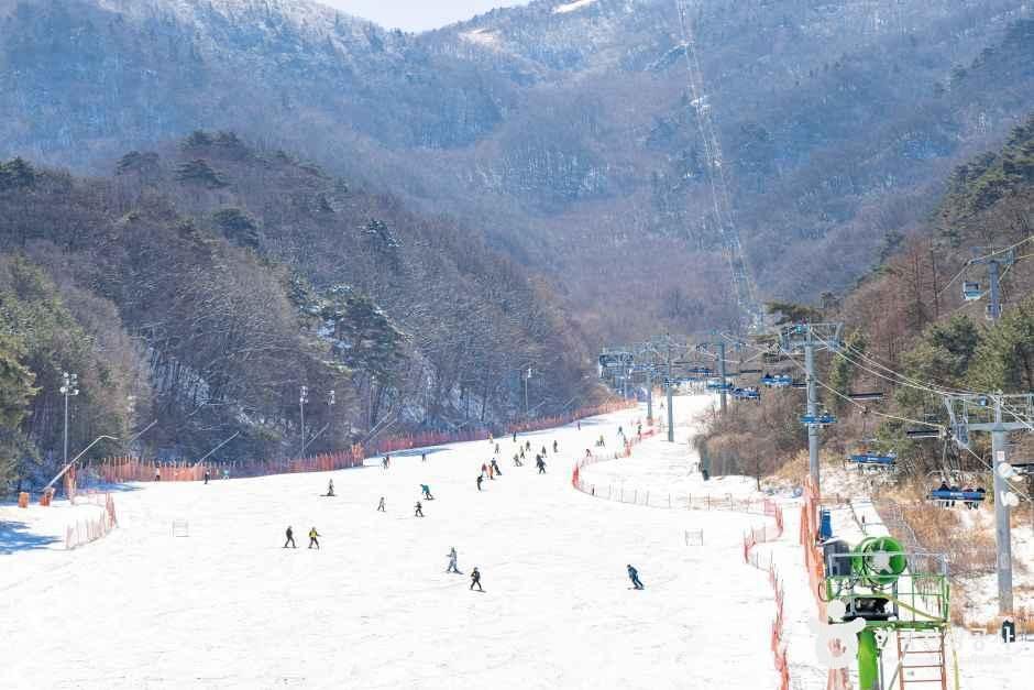 무주덕유산리조트 스키장 여행 추천 - 메고지고 무주덕유산리조트 스키장 여행 추천 - 메고지고