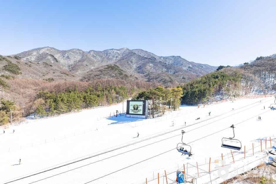 무주덕유산리조트 스키장 여행 추천 - 메고지고 무주덕유산리조트 스키장 여행 추천 - 메고지고