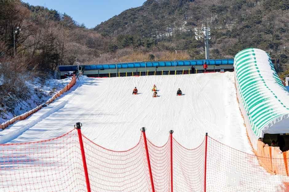 무주덕유산리조트 썰매장 여행 추천 - 메고지고