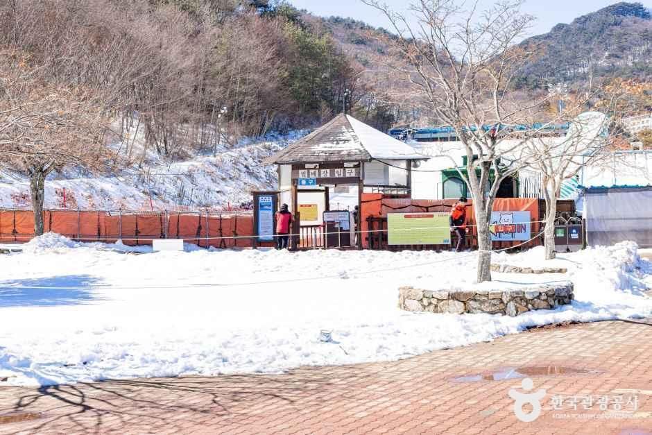 무주덕유산리조트 썰매장 여행 추천 - 메고지고
