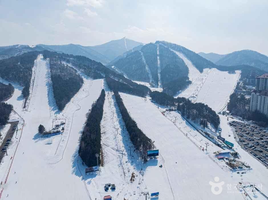 모나용평 스키장 여행 추천 - 메고지고 모나용평 스키장 여행 추천 - 메고지고