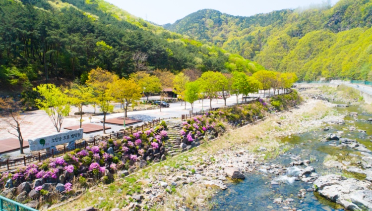 소선암오토캠핑장 여행 추천 - 메고지고 소선암오토캠핑장 여행 추천 - 메고지고