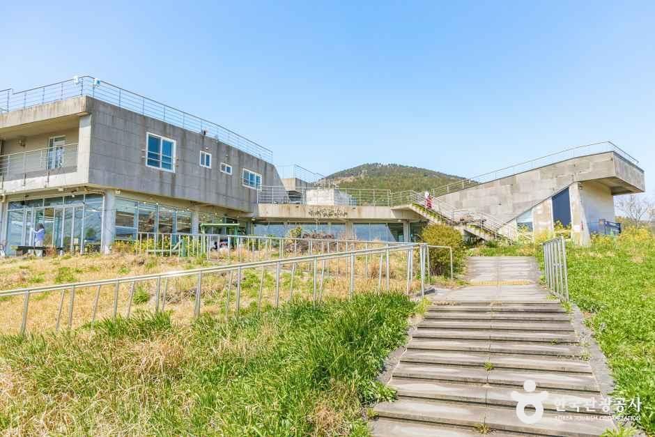 유채꽃프라자 여행 추천 - 메고지고 유채꽃프라자 여행 추천 - 메고지고