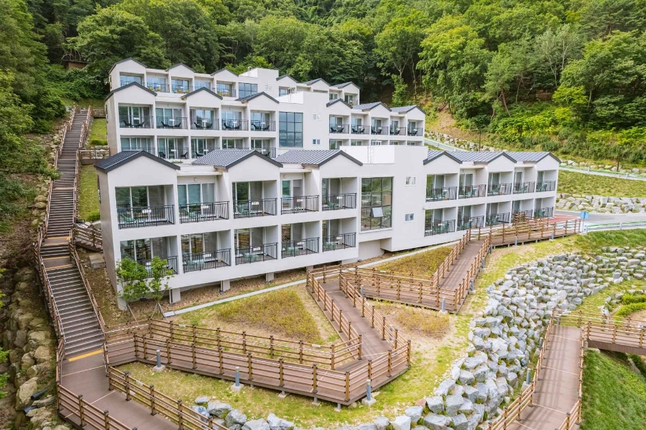 숲애서 여행 추천 - 메고지고 숲애서 여행 추천 - 메고지고
