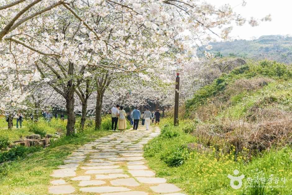 대왕수천예래생태공원 여행 추천 - 메고지고 대왕수천예래생태공원 여행 추천 - 메고지고