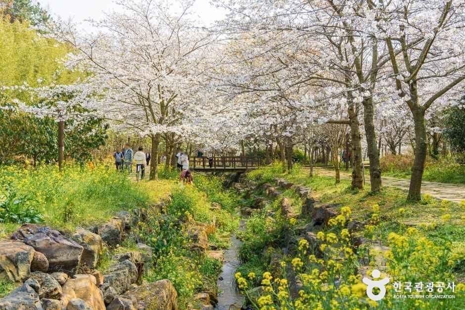 대왕수천예래생태공원 여행 추천 - 메고지고 대왕수천예래생태공원 여행 추천 - 메고지고