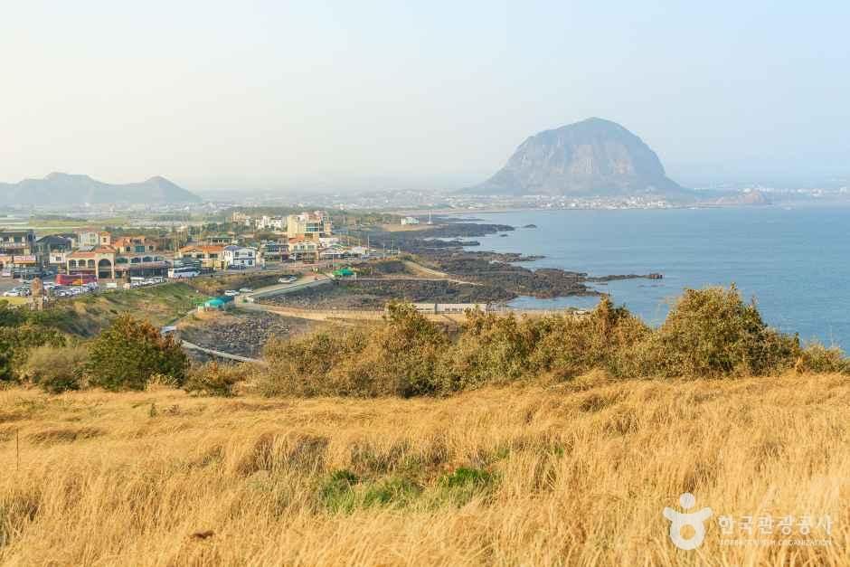 송악산둘레길 여행 추천 - 메고지고