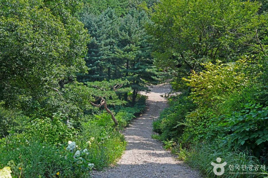 완주 화산꽃동산 여행 추천 - 메고지고 완주 화산꽃동산 여행 추천 - 메고지고