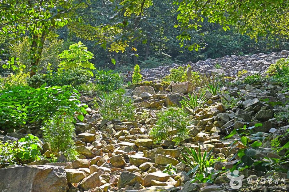 완주 화산꽃동산 여행 추천 - 메고지고 완주 화산꽃동산 여행 추천 - 메고지고
