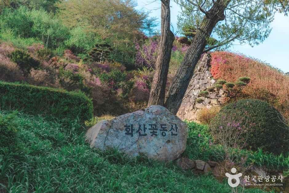 완주 화산꽃동산 여행 추천 - 메고지고 완주 화산꽃동산 여행 추천 - 메고지고