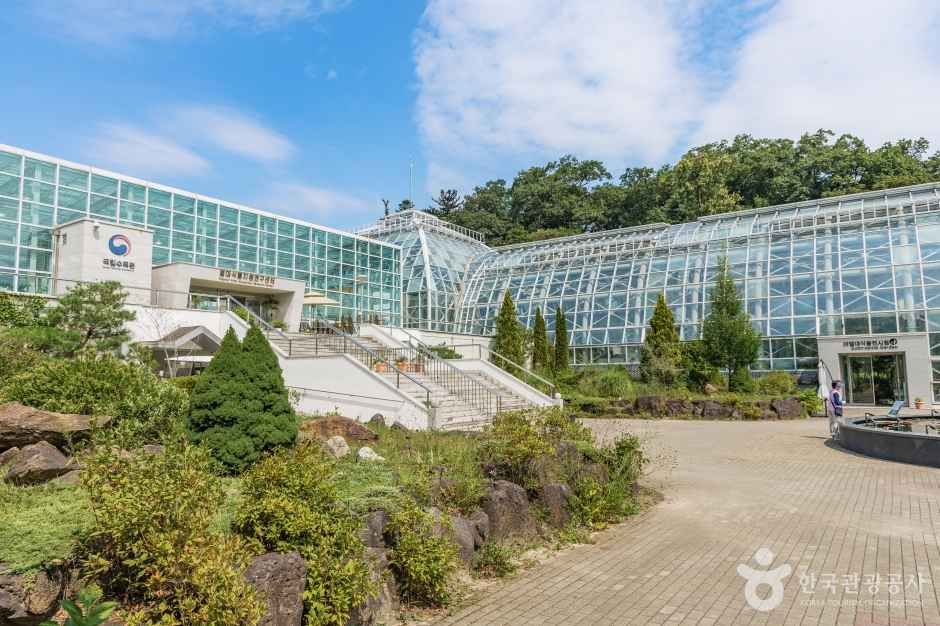 국립수목원 여행 추천 - 메고지고 국립수목원 여행 추천 - 메고지고