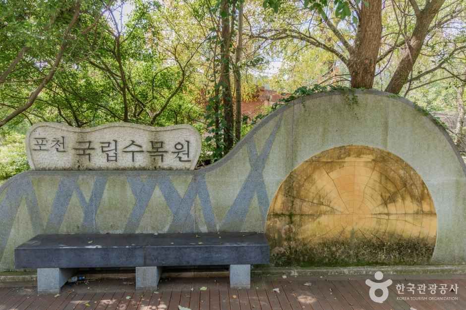 국립수목원 여행 추천 - 메고지고 국립수목원 여행 추천 - 메고지고