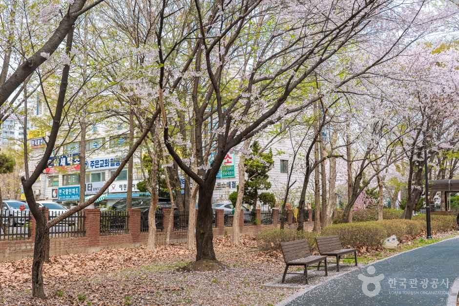 반월놀이공원 여행 추천 - 메고지고 반월놀이공원 여행 추천 - 메고지고