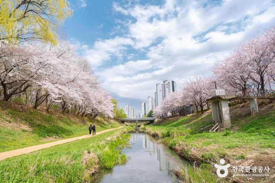 반월놀이공원 여행 추천 - 메고지고 반월놀이공원 여행 추천 - 메고지고