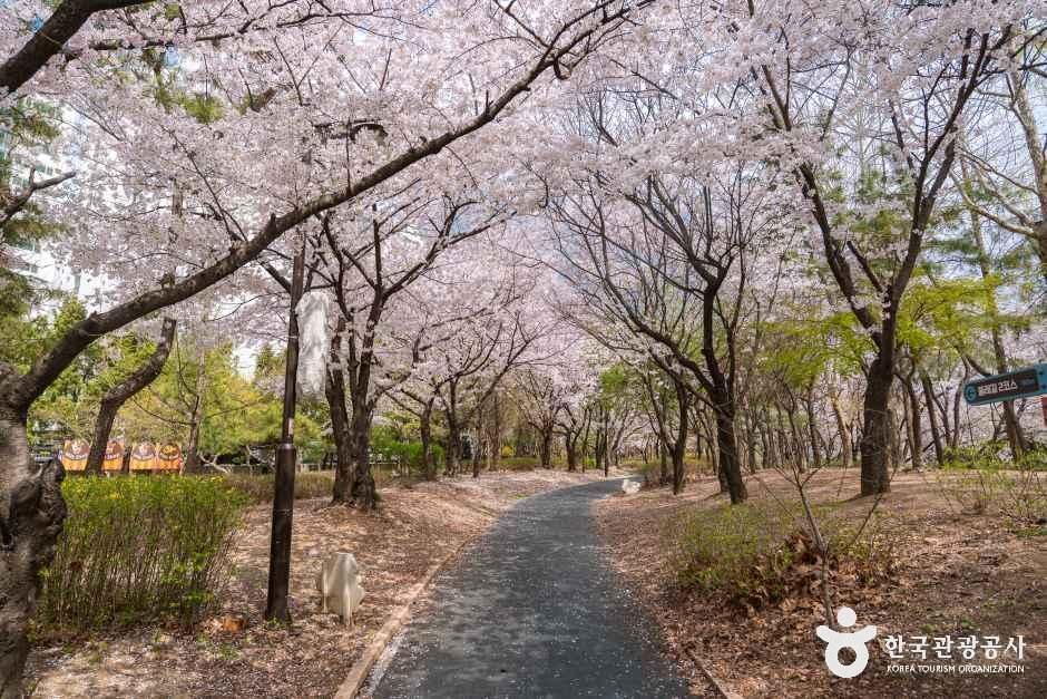 반월놀이공원 여행 추천 - 메고지고 반월놀이공원 여행 추천 - 메고지고