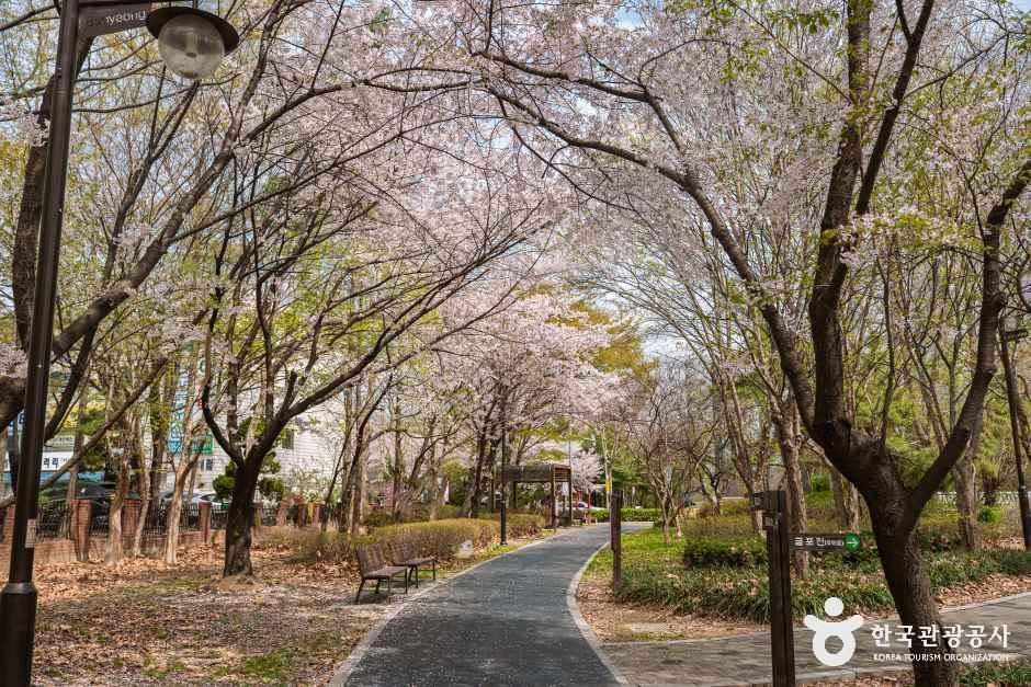 반월놀이공원 여행 추천 - 메고지고 반월놀이공원 여행 추천 - 메고지고