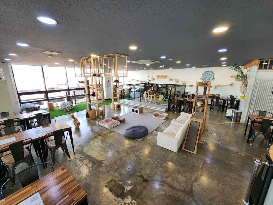 미어캣인더시티 여행 추천 - 메고지고 미어캣인더시티 여행 추천 - 메고지고