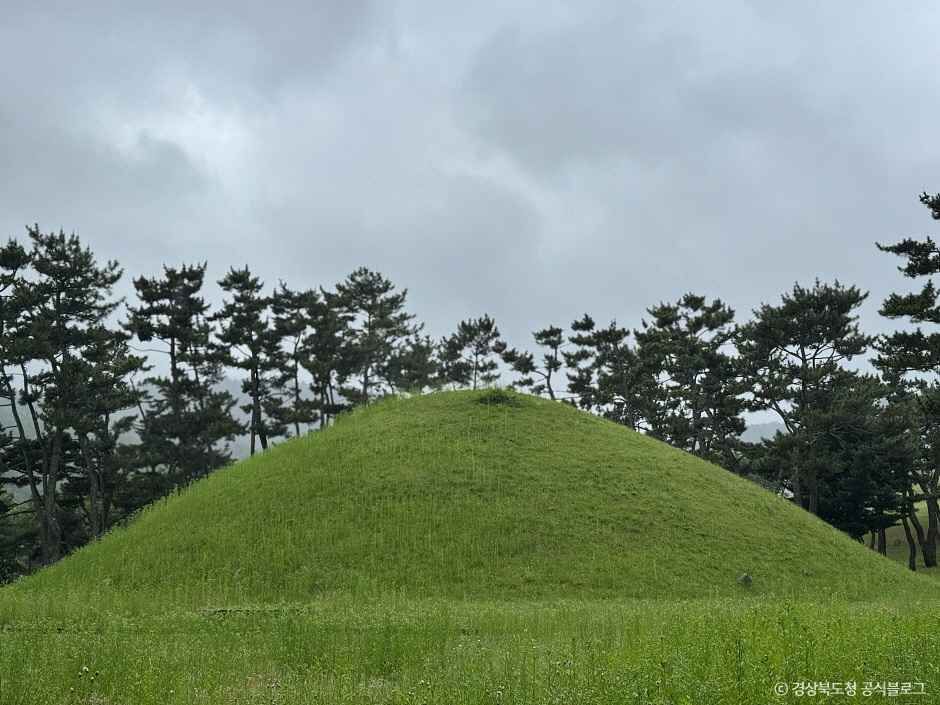경주 무열왕릉·태종무열왕릉비 여행 추천 - 메고지고 경주 무열왕릉·태종무열왕릉비 여행 추천 - 메고지고