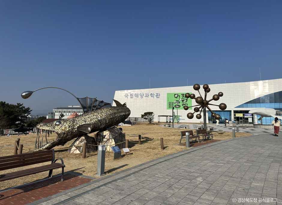 국립울진해양과학관 여행 추천 - 메고지고