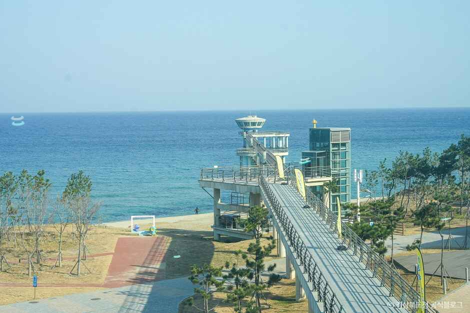 국립울진해양과학관 여행 추천 - 메고지고