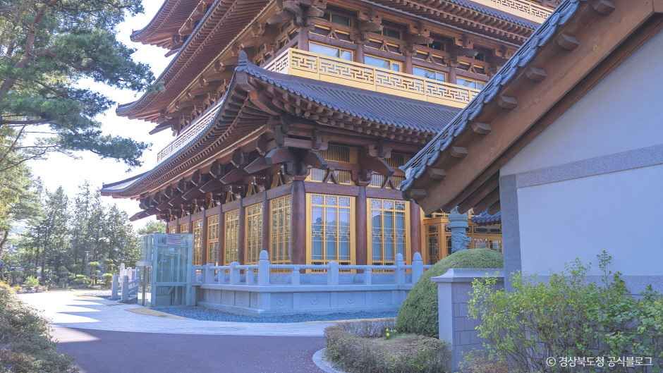 황룡원 여행 추천 - 메고지고 황룡원 여행 추천 - 메고지고