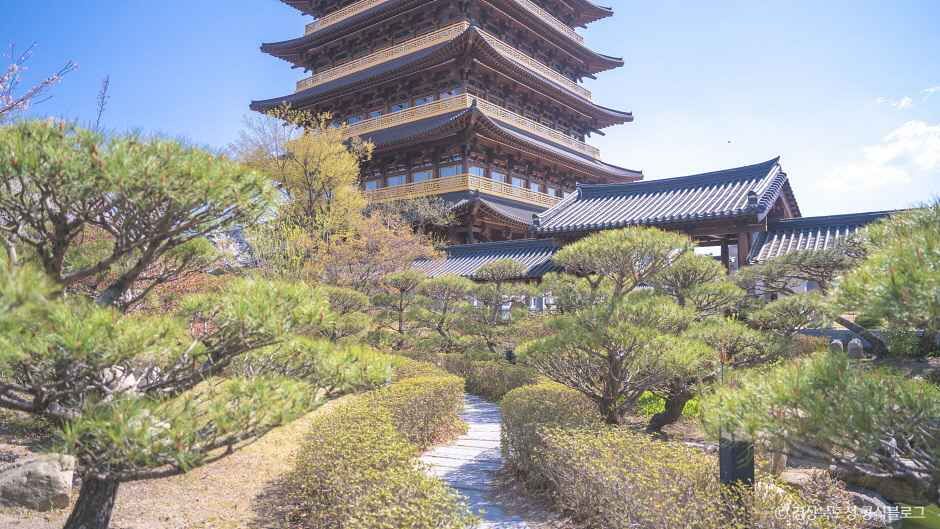 황룡원 여행 추천 - 메고지고 황룡원 여행 추천 - 메고지고
