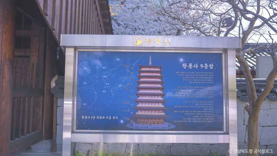 황룡원 여행 추천 - 메고지고 황룡원 여행 추천 - 메고지고