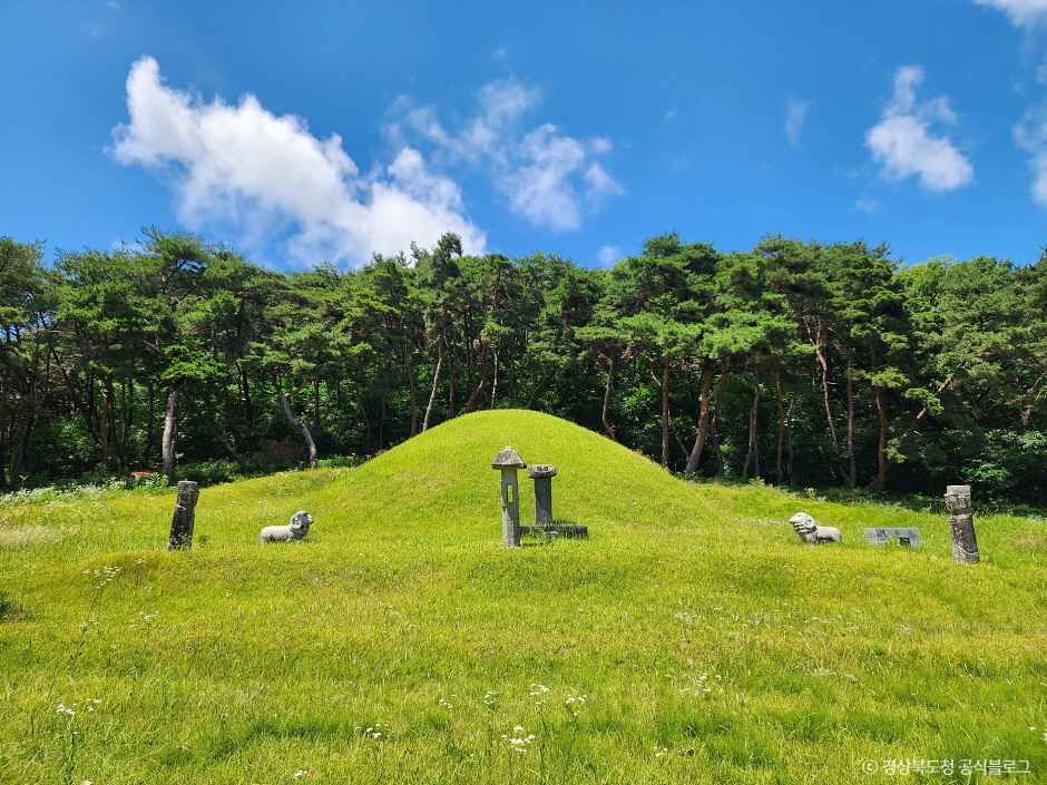 전사벌왕릉 여행 추천 - 메고지고