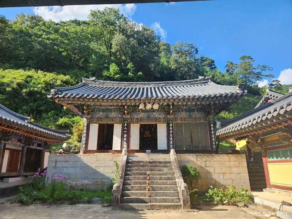 고운사(의성) 여행 추천 - 메고지고 고운사(의성) 여행 추천 - 메고지고
